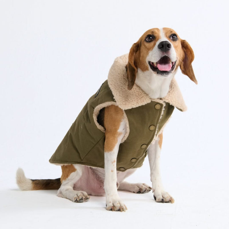 All Terrain Duck Insulated Dog Jacket Coat SPARK PAWS