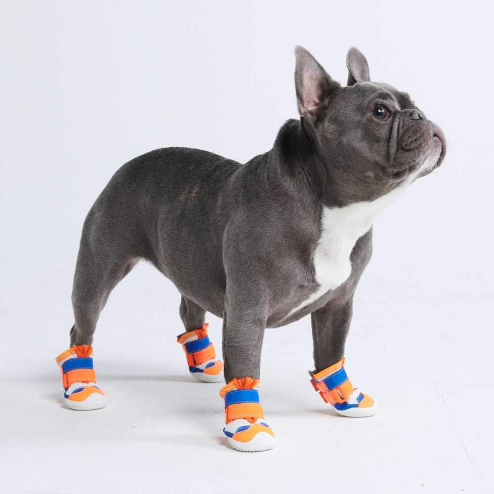 Dog Shoes and Boots Comfort and Protection for Every Paw SPARK PAWS