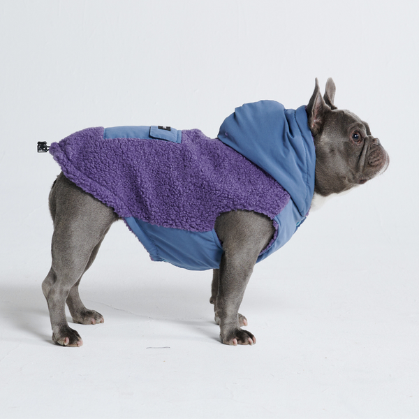 Dog apparel hot sale australia