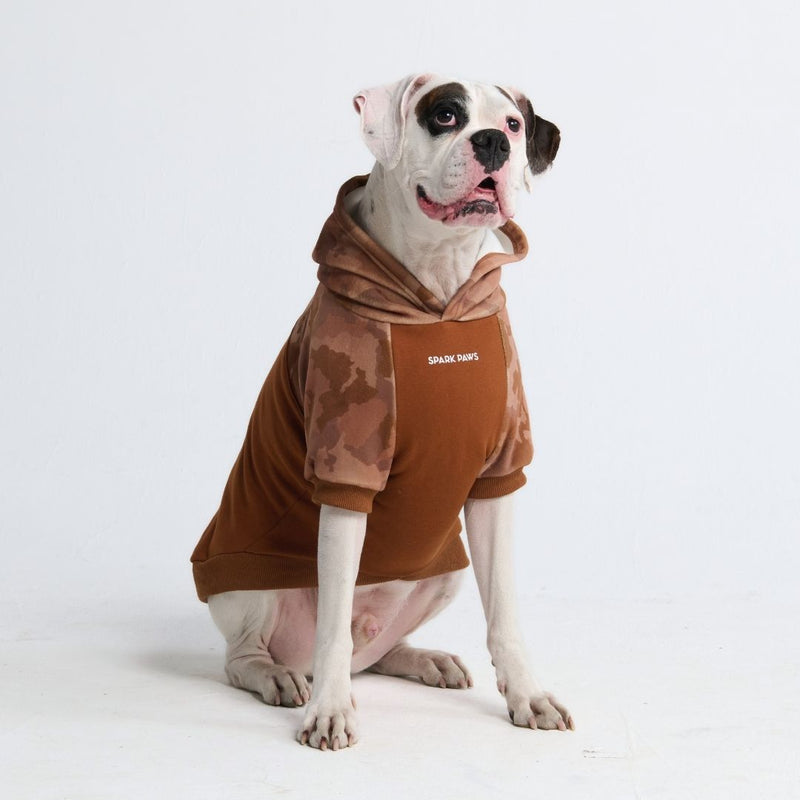 Desert Camo Dog Hoodie