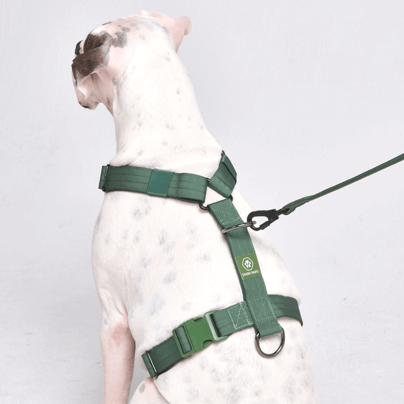 Green Harness