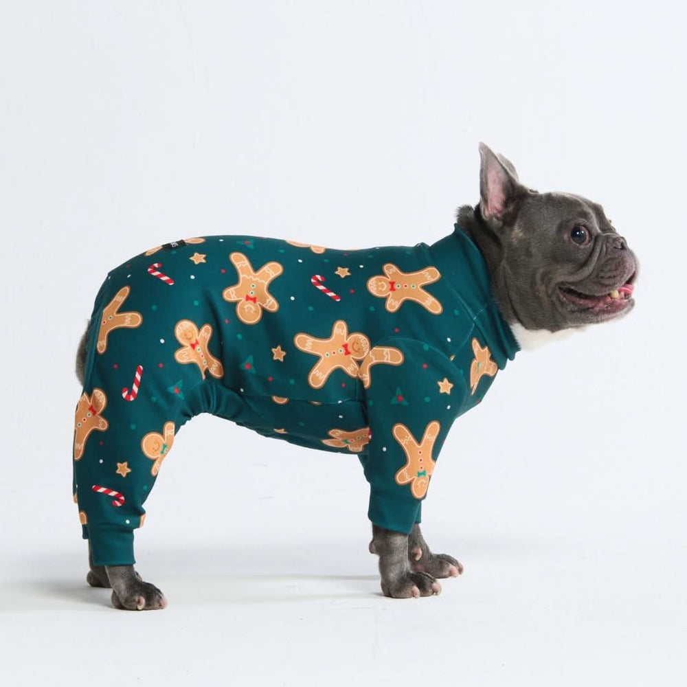 Dog shops pajamas for humans