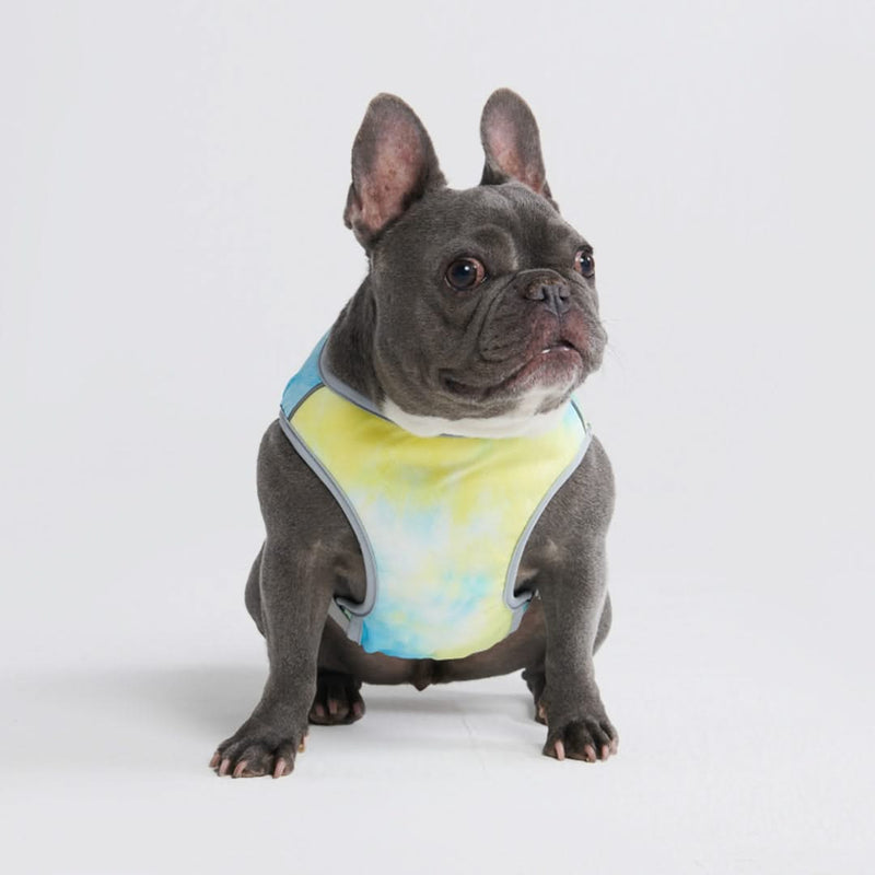 Chilltech Dog Cooling Vests SPARK PAWS