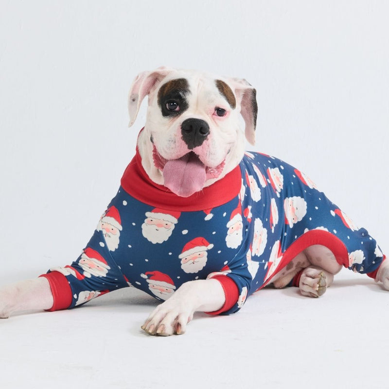 Dog Christmas Pajama - Santa Clause