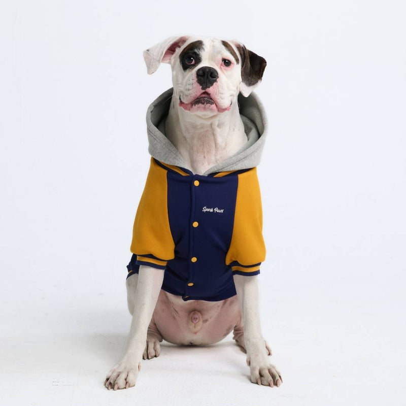 Dog Varsity Jacket - Blue Yellow