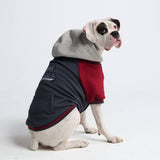 Dog Varsity Jacket - Grey Red