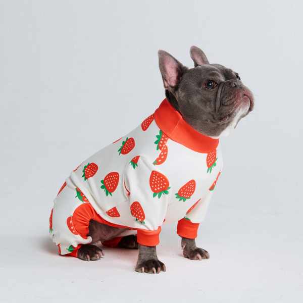 Dog Pajama - Strawberries