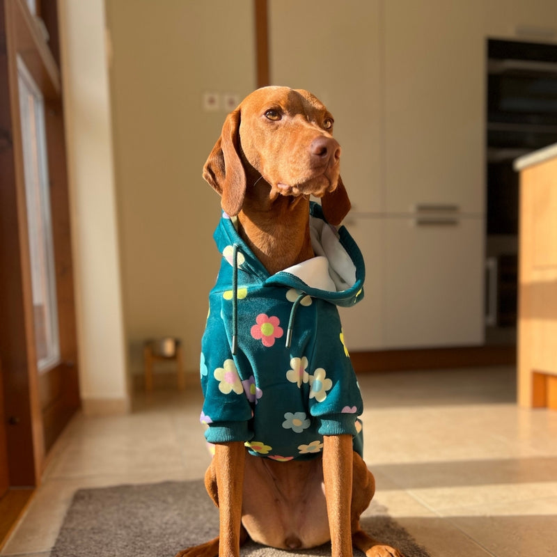 Daisy Dog Hoodie - Green