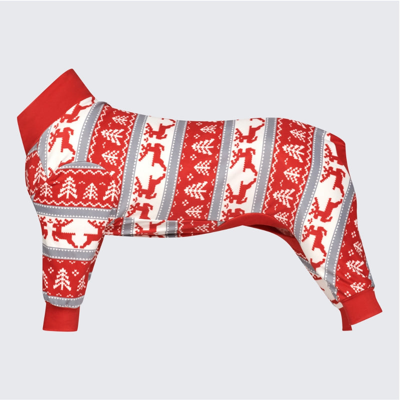 Dog Christmas Pajama - Winter Wonderland