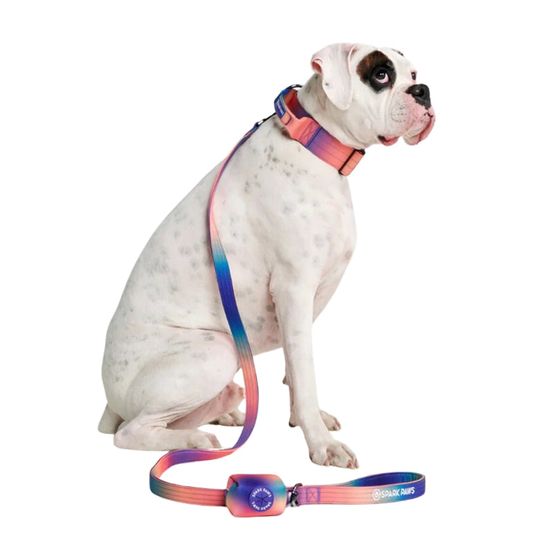 Leash and Poop Bag Holder Set - Kaleidoscope