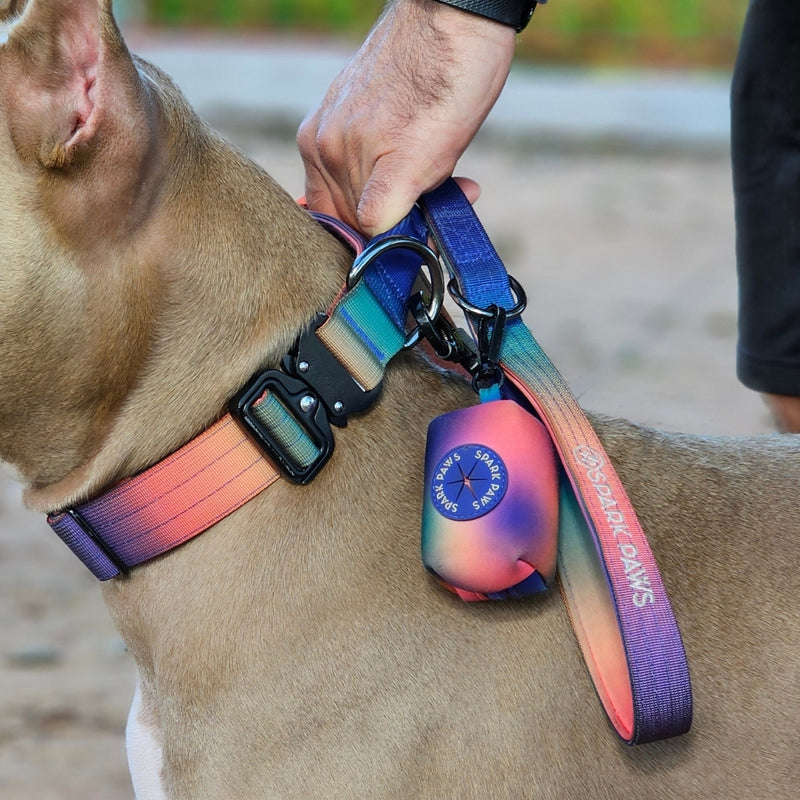 Leash and Poop Bag Holder Set - Kaleidoscope