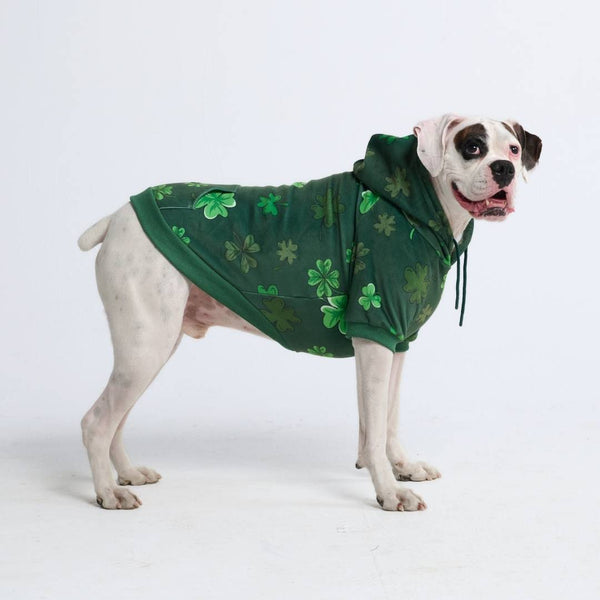 St. Patty's Dog Hoodie - Dark Green (Limited Edition)