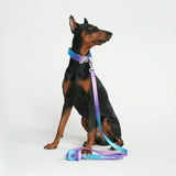 Leash and Poop Bag Holder Set - 90s Retro