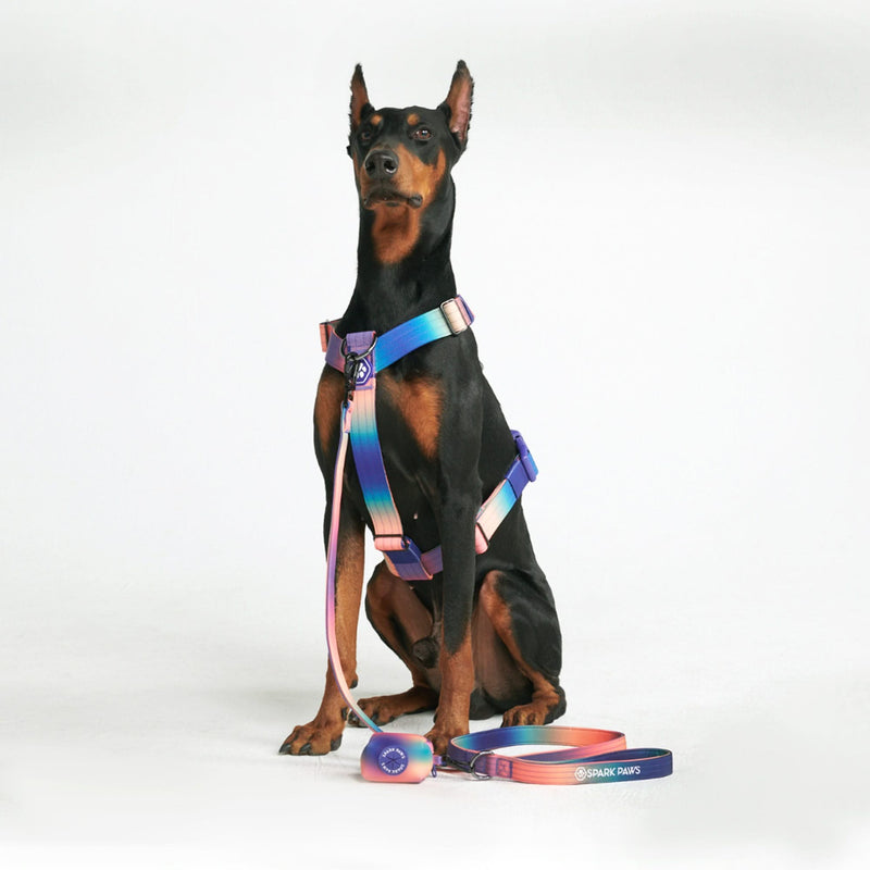 Leash and Poop Bag Holder Set - Kaleidoscope