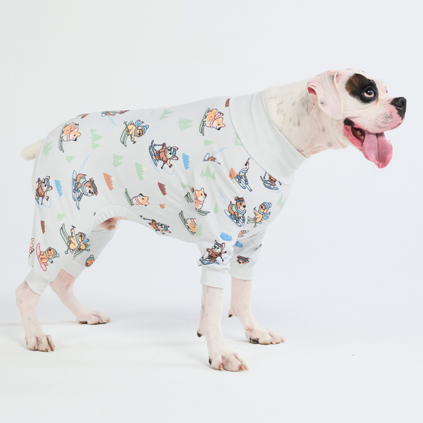 Dog Pajama - Ski Pup