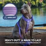 Comfort Control No-Pull Dog Harness Set - Lilac