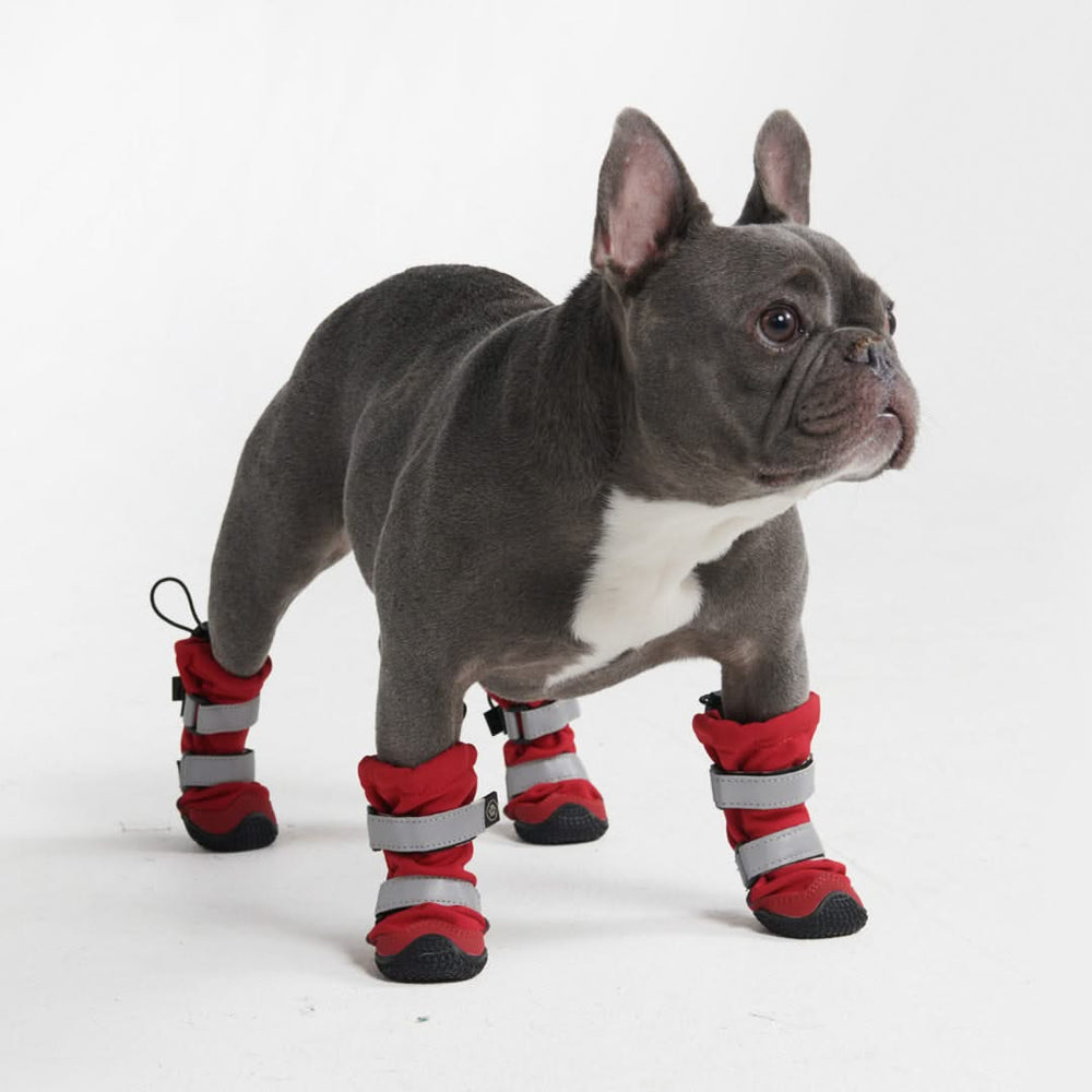 Puppy booties for snow hotsell