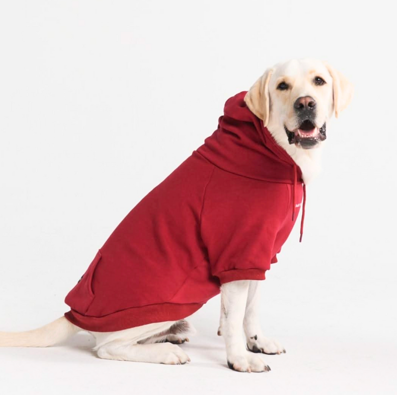 Essential Dog Hoodie - Burgundy