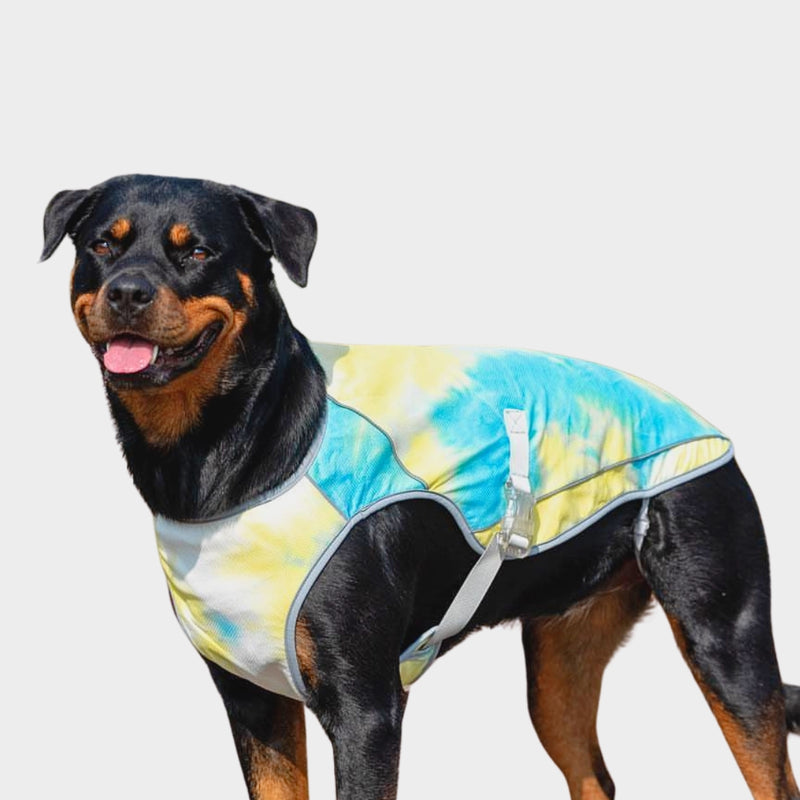 Cooling shirt for dogs best sale