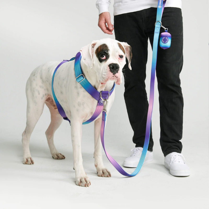 90s Retro Harness