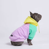 Purple Turquoise Yellow Hoodie