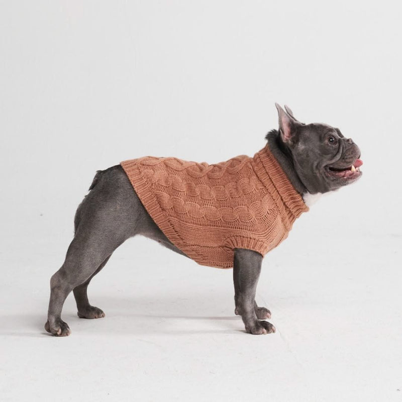 Cable Knit Dog Sweater - Brown