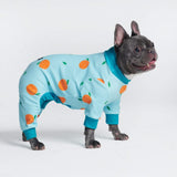 Dog Pajama - Oranges (SIZE S)