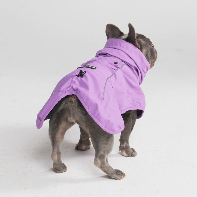 Purple orders dog coat