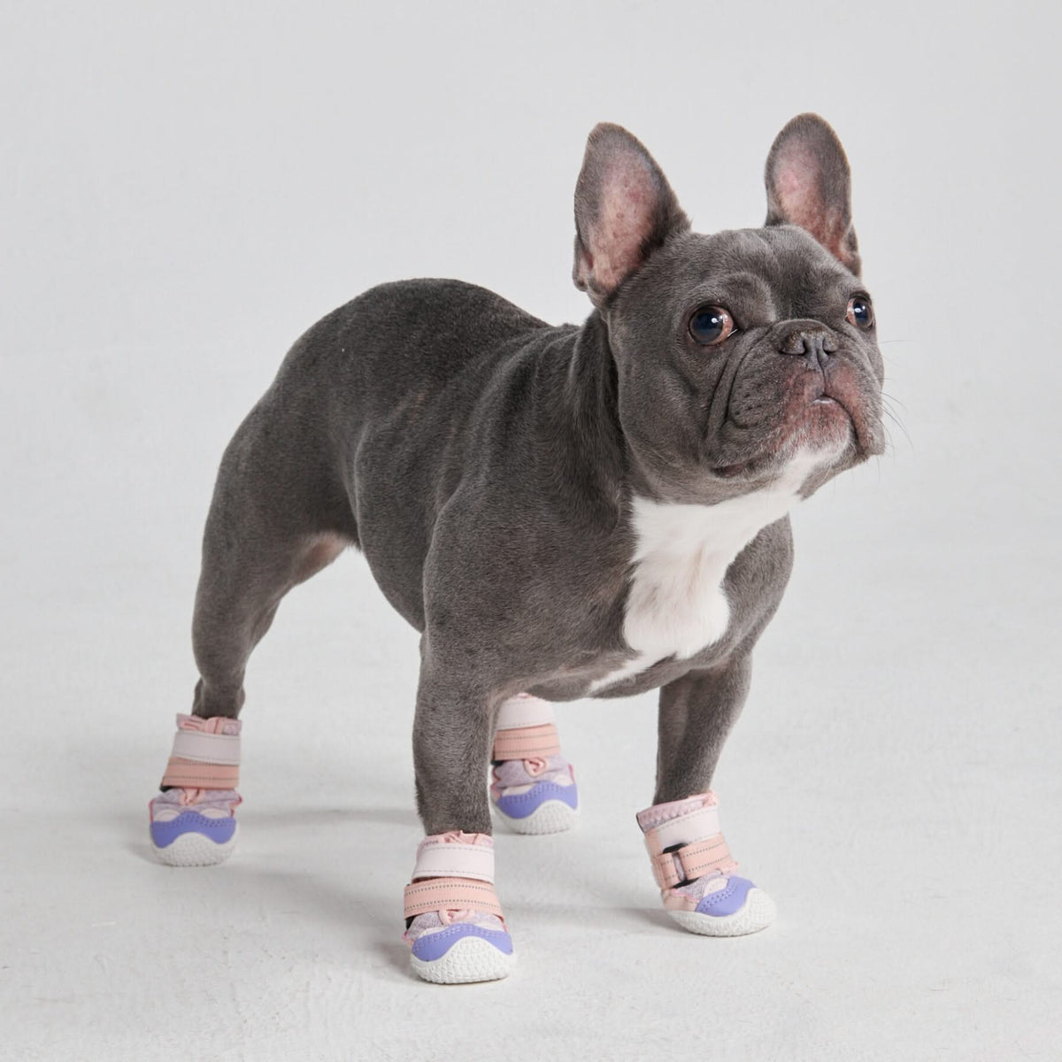 Puppy dog shoes best sale