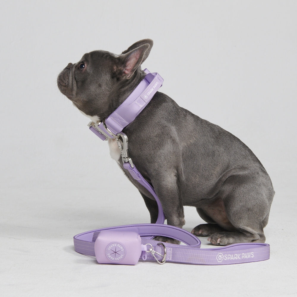 Tactical French Bulldog Harness