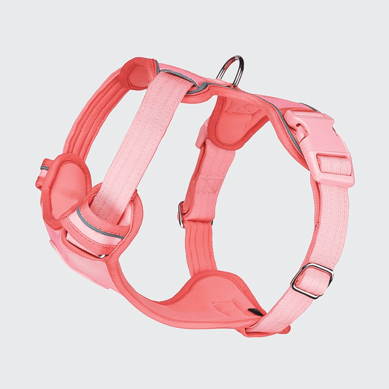 Comfort Control Harness - Pink- [SIZE S] dogs up to 20kg/45lb