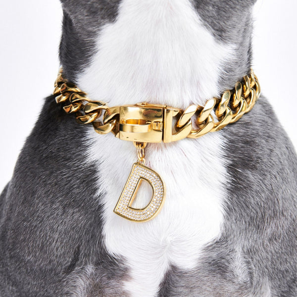 Dog Collar Letter Charms, Gold Initial Letter 'C' Jewelry Tag for Dogs