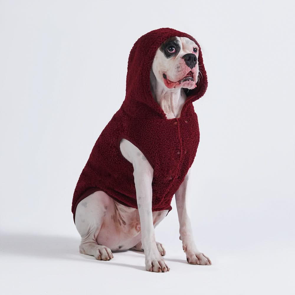 Dog burgundy jacket best sale