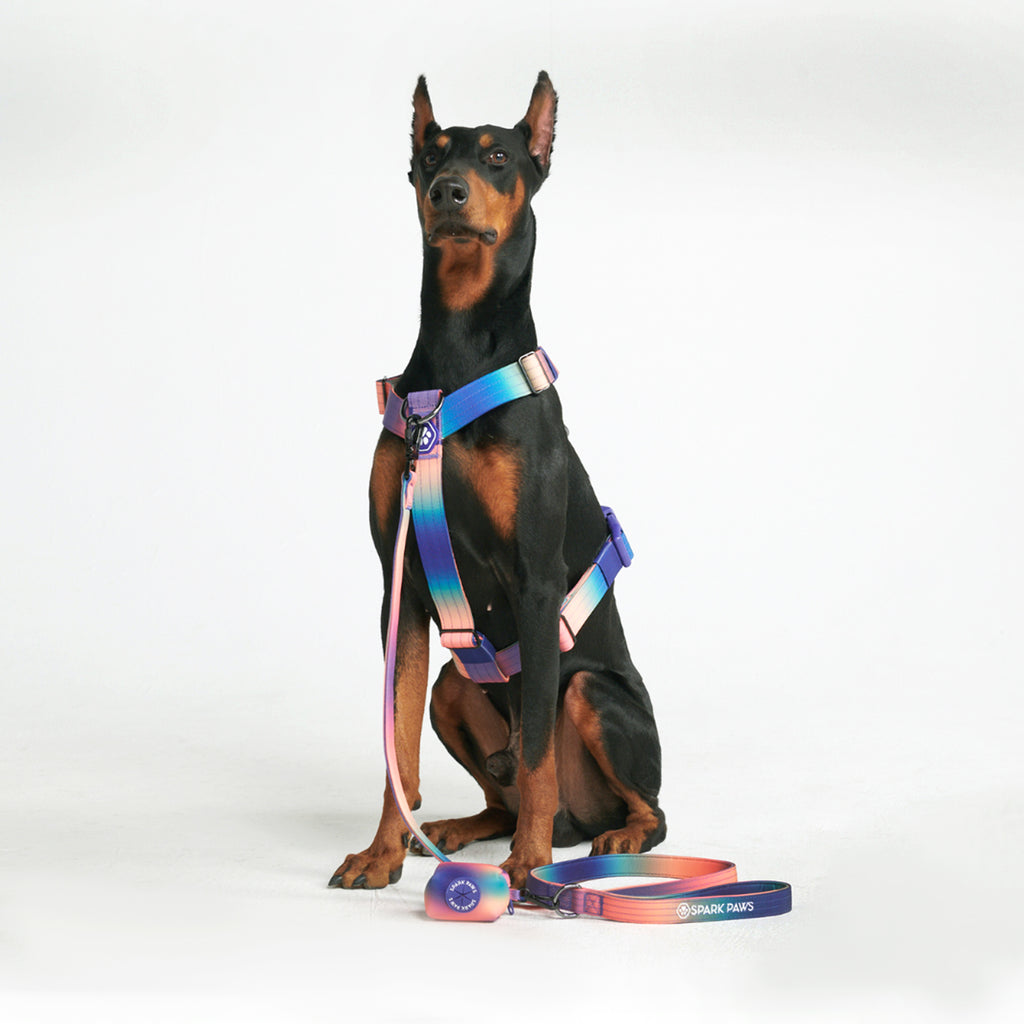 Comfort Control No-Pull Dog Harness - Kaleidoscope – SPARK PAWS