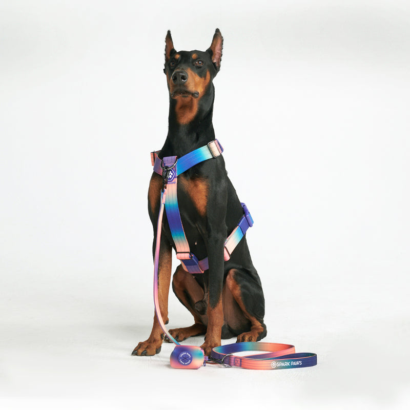 Four Paws Black Comfort Control Harness